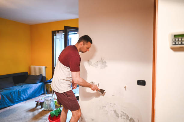Best Crawl Space Mold Remediation in Rocky River, OH